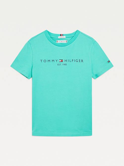 Tommy Hilfiger T Shirts Online Sale - Boy Essential Organic Cotton ...